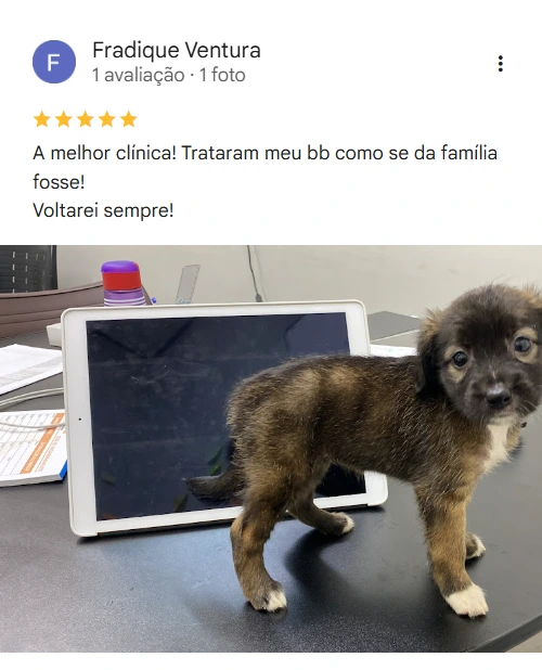 Avaliação 5 estrelas