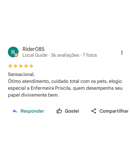 Avaliação 5 estrelas